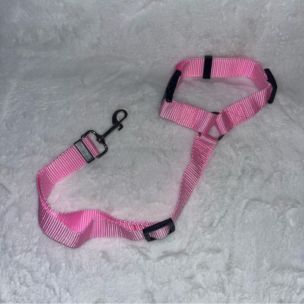 Car leash for pets